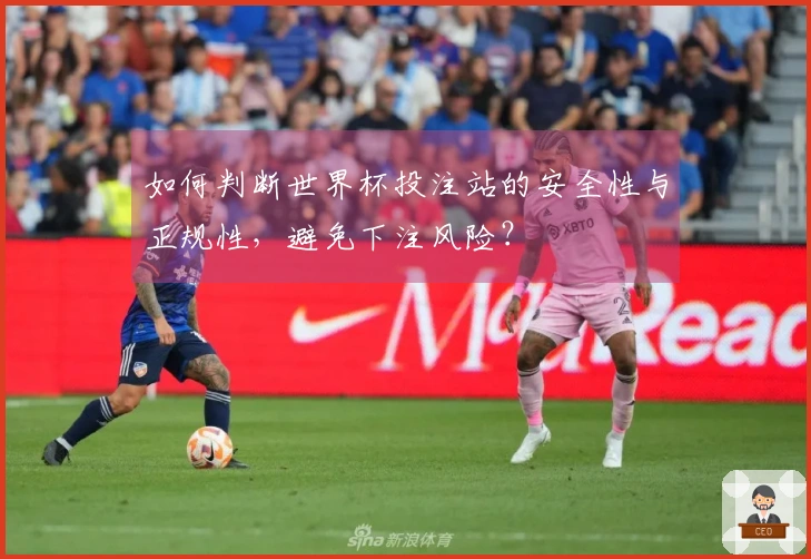 如何判断世界杯投注站的安全性与正规性，避免下注风险？