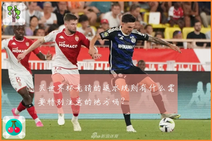 买世界杯竞猜的返水规则有什么需要特别注意的地方吗？