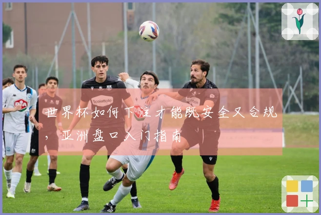 世界杯如何下注才能既安全又合规，亚洲盘口入门指南