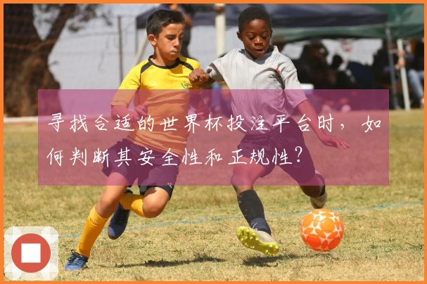 寻找合适的世界杯投注平台时，如何判断其安全性和正规性？