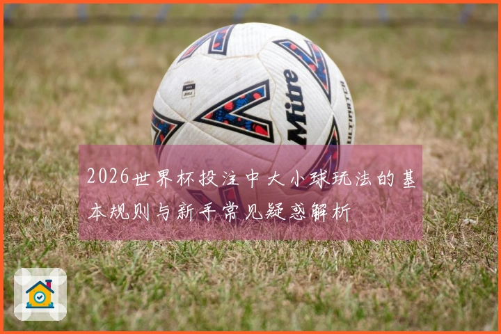 2026世界杯投注中大小球玩法的基本规则与新手常见疑惑解析