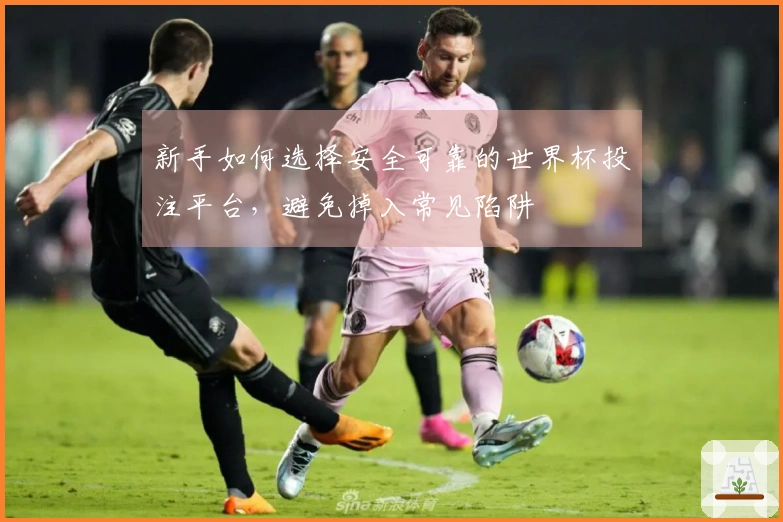 新手如何选择安全可靠的世界杯投注平台，避免掉入常见陷阱