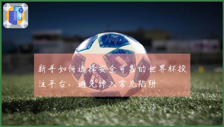 新手如何选择安全可靠的世界杯投注平台，避免掉入常见陷阱