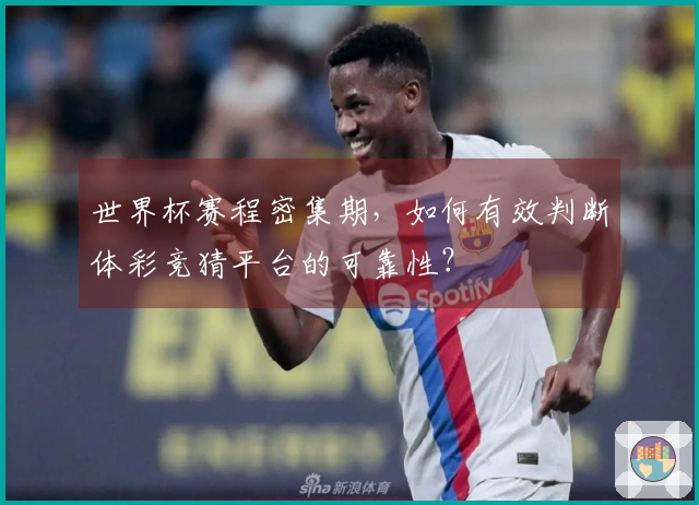 世界杯赛程密集期，如何有效判断体彩竞猜平台的可靠性？