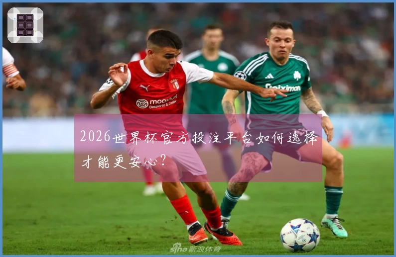 2026世界杯官方投注平台如何选择才能更安心？
