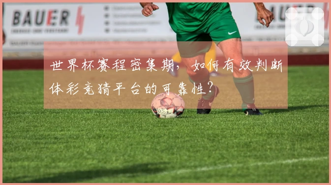 世界杯赛程密集期，如何有效判断体彩竞猜平台的可靠性？