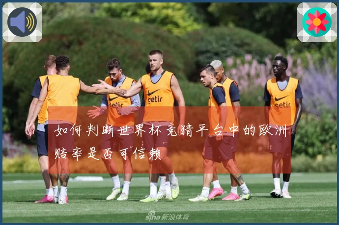 如何判断世界杯竞猜平台中的欧洲赔率是否可信赖