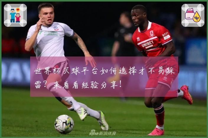 世界杯买球平台如何选择才不易踩雷？来看看经验分享！