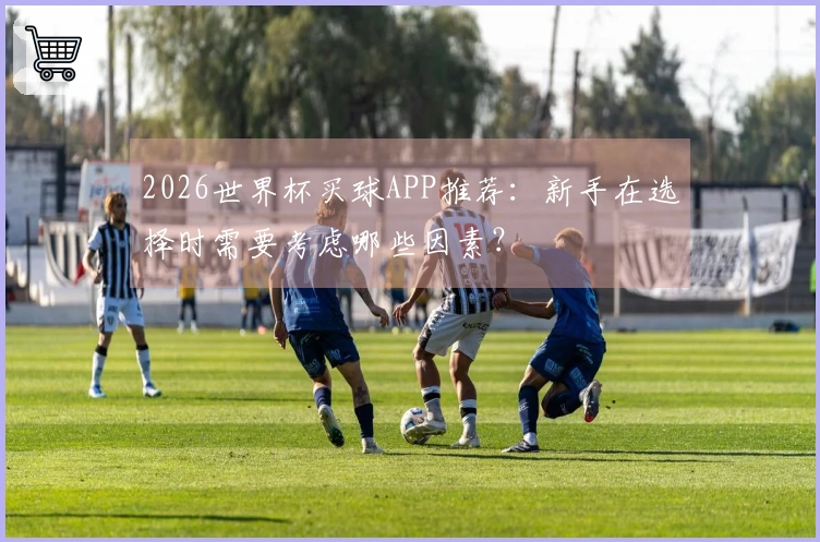 2026世界杯买球APP推荐：新手在选择时需要考虑哪些因素？