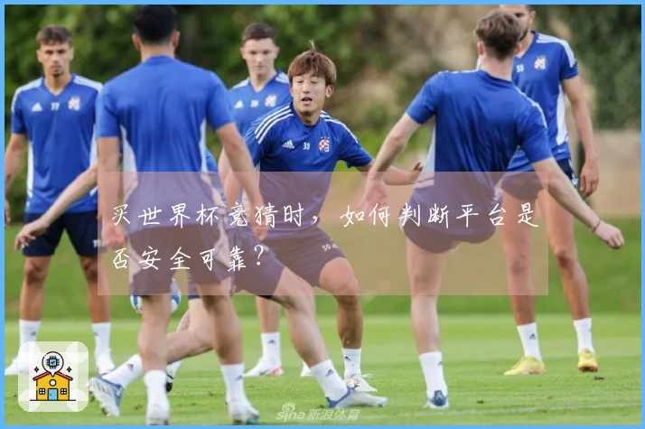买世界杯竞猜时，如何判断平台是否安全可靠？