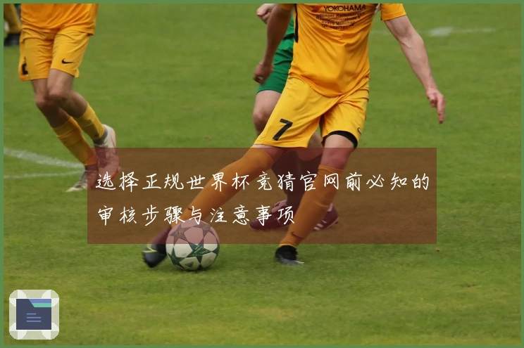 选择正规世界杯竞猜官网前必知的审核步骤与注意事项