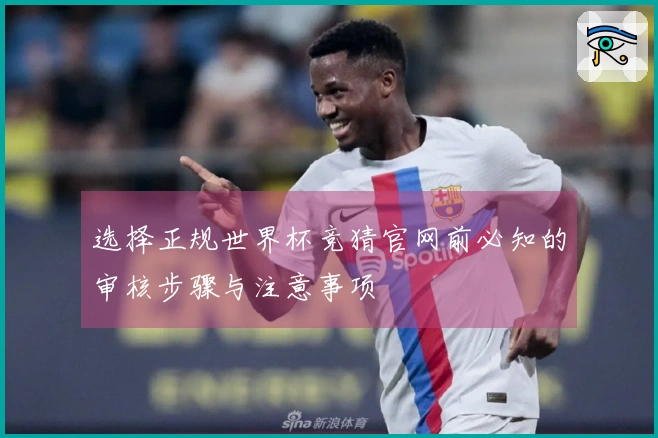 选择正规世界杯竞猜官网前必知的审核步骤与注意事项