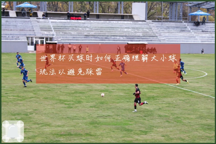 世界杯买球时如何正确理解大小球玩法以避免踩雷