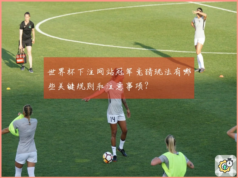 世界杯下注网站冠军竞猜玩法有哪些关键规则和注意事项？
