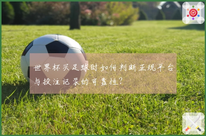 世界杯买足球时如何判断正规平台与投注记录的可靠性？