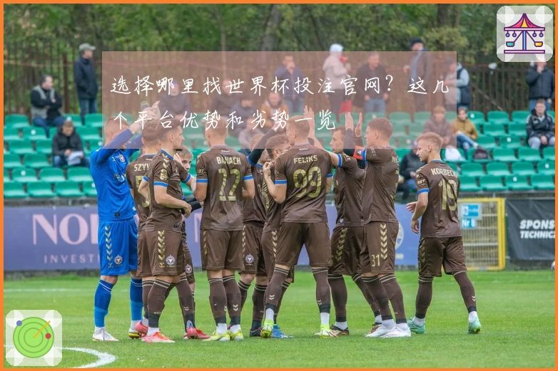 选择哪里找世界杯投注官网？这几个平台优势和劣势一览