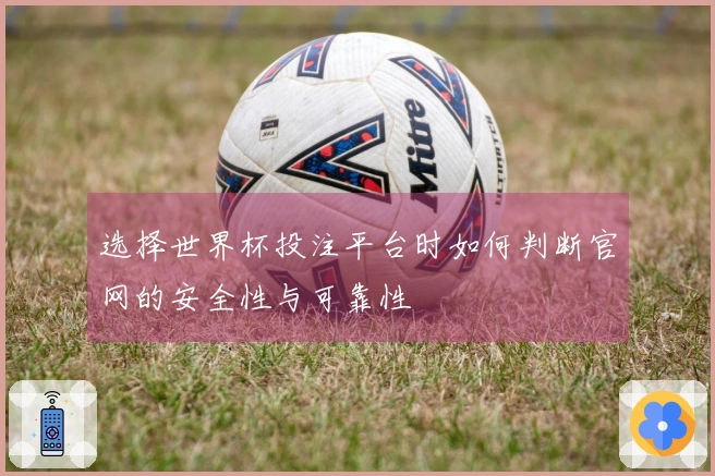 选择世界杯投注平台时如何判断官网的安全性与可靠性