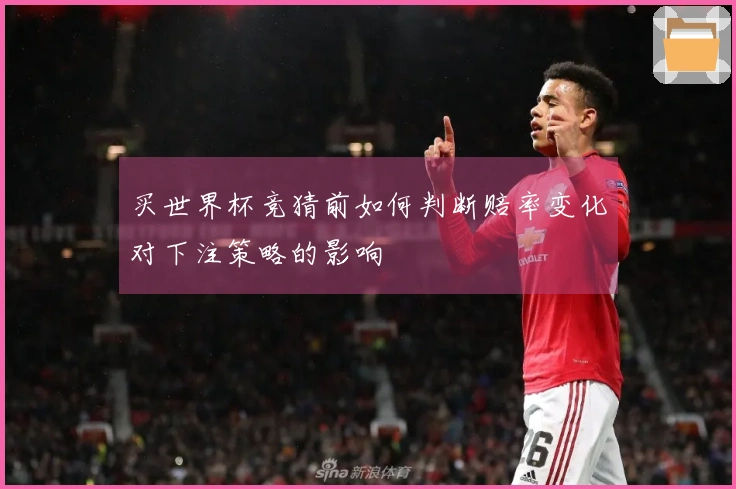 买世界杯竞猜前如何判断赔率变化对下注策略的影响