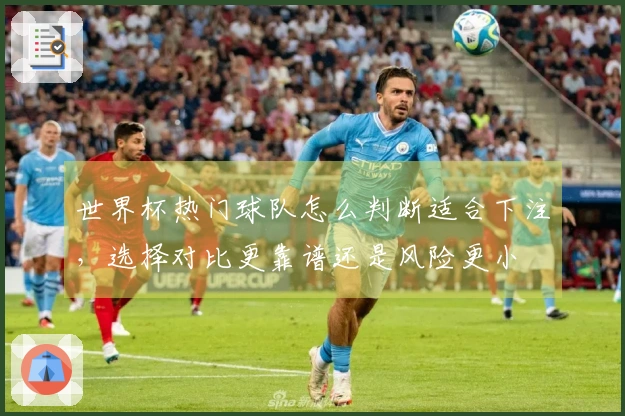 世界杯热门球队怎么判断适合下注，选择对比更靠谱还是风险更小